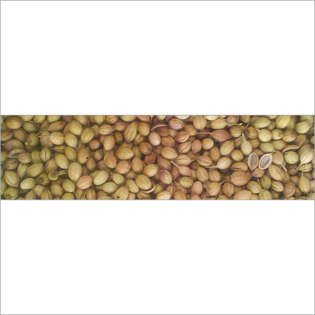 Whole Coriander Whole Coriander