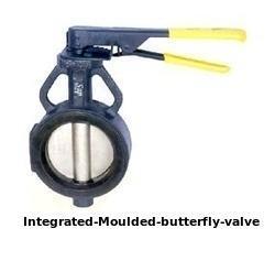 Integrated Moulded Butterfly Valves Integrated Moulded Butterfly Valves