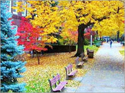 Switzerland Honeymoon Packages Switzerland Honeymoon Packages