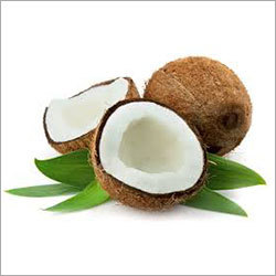 Fresh Coconut Fresh Coconut