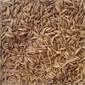 Organic Seeragam Organic Seeragam