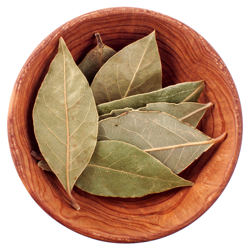 Bay Leaf Bay Leaf