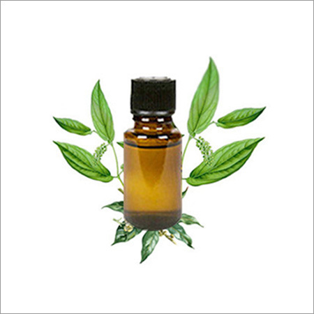 Camphor Oil Camphor Oil