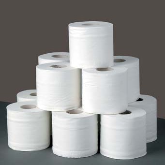 sainatary paper sainatary paper