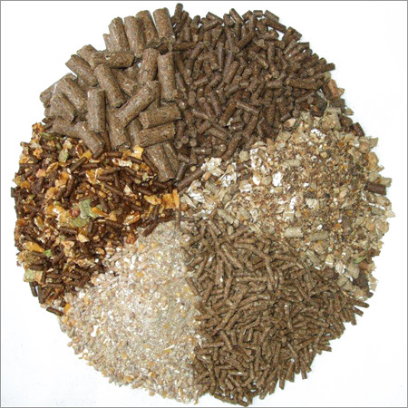 Animal Feed Animal Feed