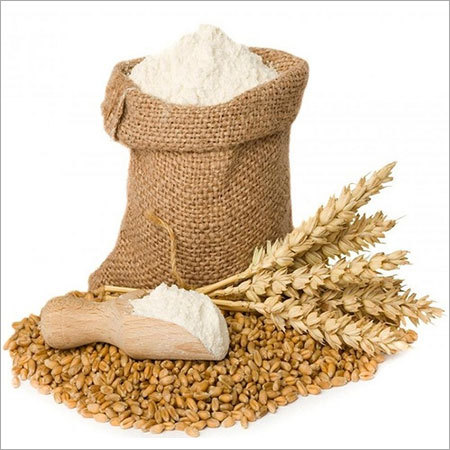 Wheat Flour Wheat Flour