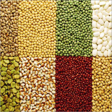 Organic Pulses Organic Pulses
