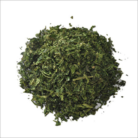 Dehydrated Coriander Leaves Dehydrated Coriander Leaves