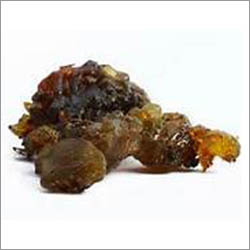 Boswellia Serrata Boswellia Serrata