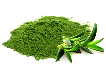 Aloe Vera Powder Aloe Vera Powder