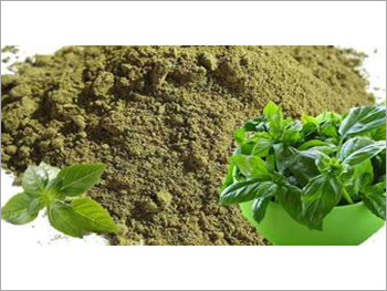 Tulsi Powder Tulsi Powder