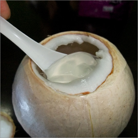 Coconut Jelly Coconut Jelly