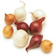 Pearl Onions Pearl Onions