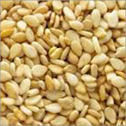 Natural Sesame Seed Natural Sesame Seed