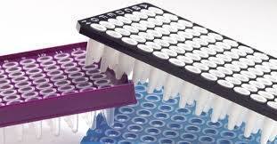 PCR Tube PCR Tube