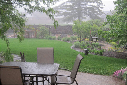 Garden Maintenance Services Garden Maintenance Services