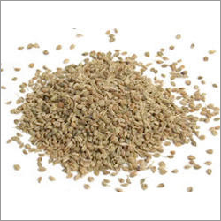 Ajwain Seed Ajwain Seed
