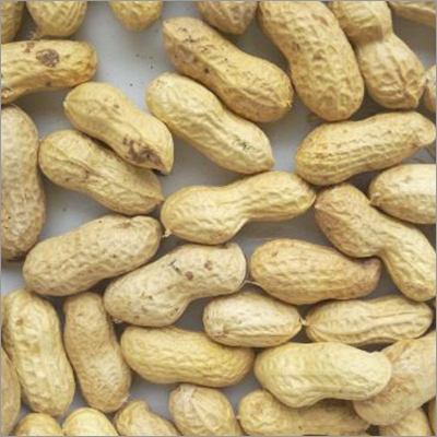 Peanut Kernel Peanut Kernel