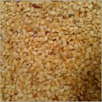 Red Chilli Seeds Red Chilli Seeds
