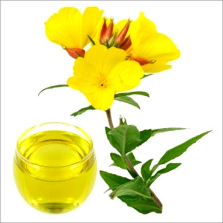 Evening Primrose Oil Evening Primrose Oil