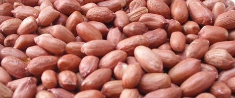 Java Peanuts Java Peanuts