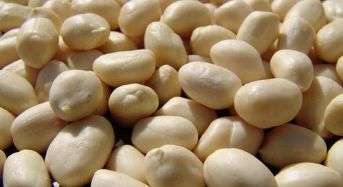 Blanched Peanuts Blanched Peanuts