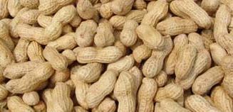 Raw Groundnuts Raw Groundnuts