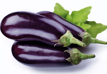 Brinjal Brinjal