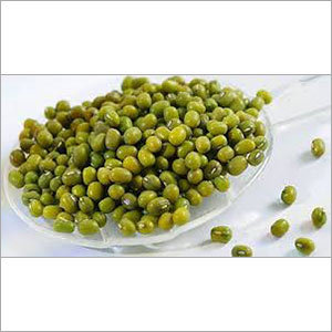 Green Mung Beans Green Mung Beans