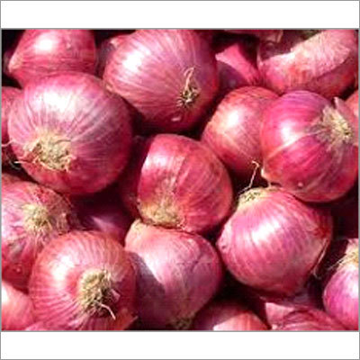 Red Onion Red Onion
