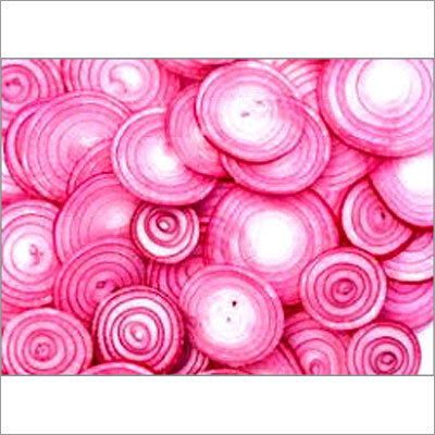 Fresh Red Onion Fresh Red Onion