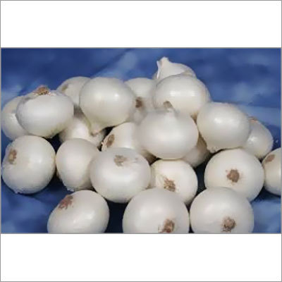 White Onion White Onion