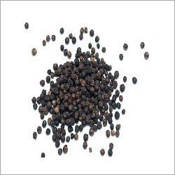Black Pepper Testing Services Black Pepper Testing Services