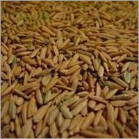 Wheat Testing Services Wheat Testing Services