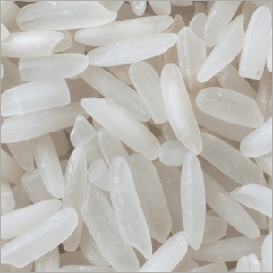 Brown Rice Brown Rice