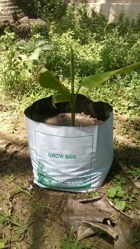 Flexo Printing Non Woven Bags Flexo Printing Non Woven Bags