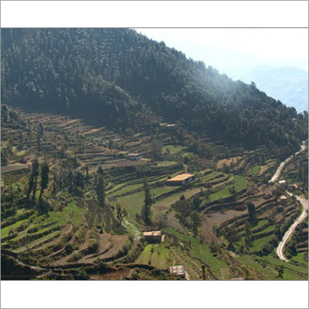 Kud Tour Packages Kud Tour Packages