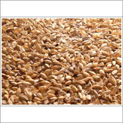 Barley Malt Barley Malt