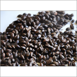 Roasted Malt Roasted Malt