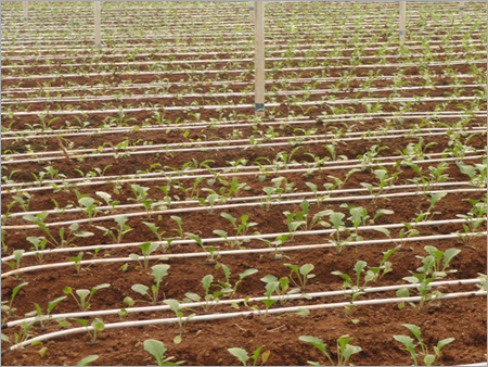 Sistema di irrigazione goccia a goccia Sistema di irrigazione goccia a goccia