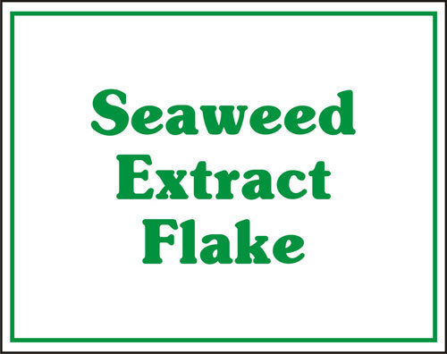 Seaweed Extract Flake Seaweed Extract Flake