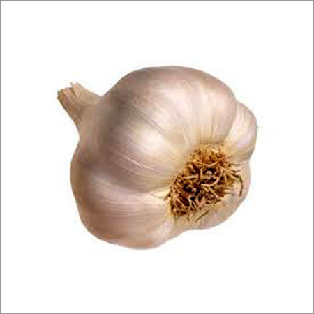 Pure White Garlic Pure White Garlic