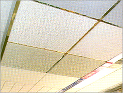 Grid Ceiling Tiles Grid Ceiling Tiles