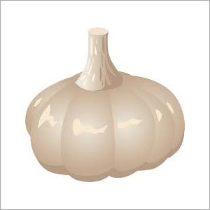 White Garlic White Garlic