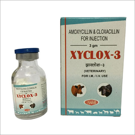 Cloxacillin Injection Cloxacillin Injection