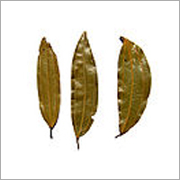 Indian Bay Leaf Indian Bay Leaf