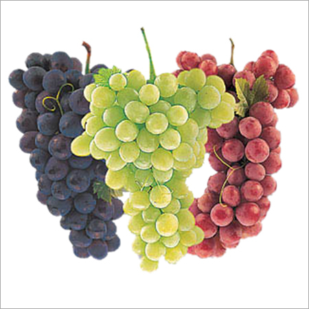 Fresh Green Grapes Fresh Green Grapes