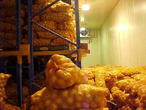 ONION COLD STORAGE ONION COLD STORAGE
