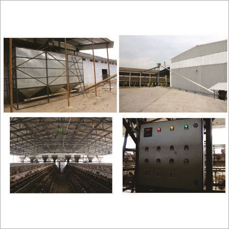 Automatic Feeding System Automatic Feeding System
