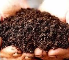 Bio Fertilizer Bio Fertilizer